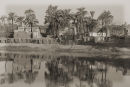 Nile #2